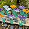 Krokus i glas