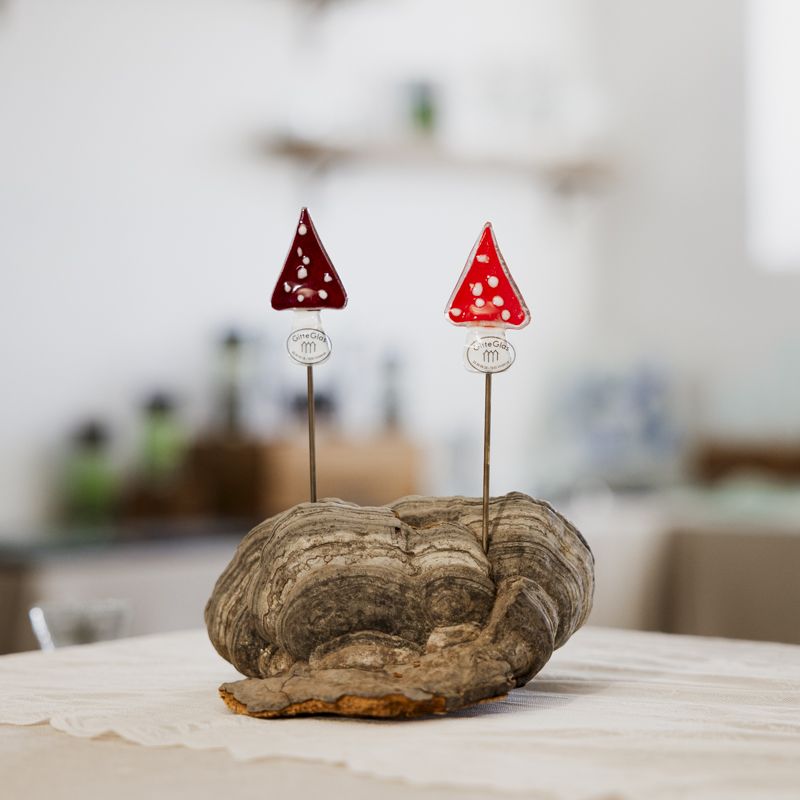 Små Søde Paddehatte